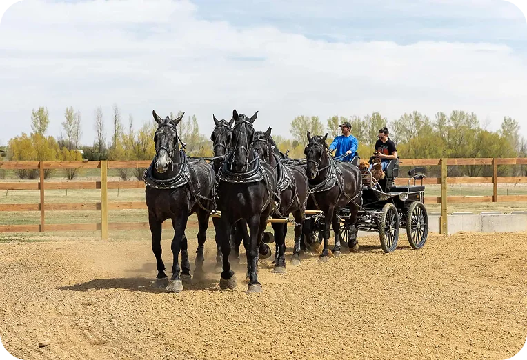 Makenna Helmuth gallery 2