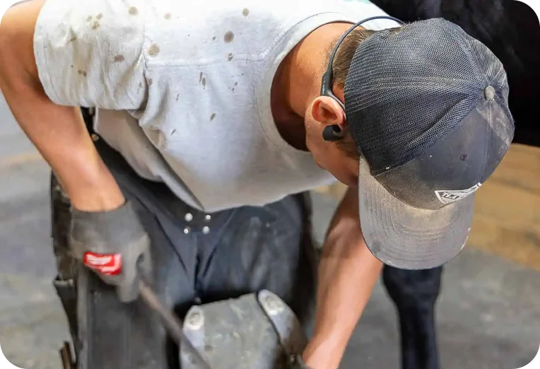 Wilbur Helmuth gallery 2